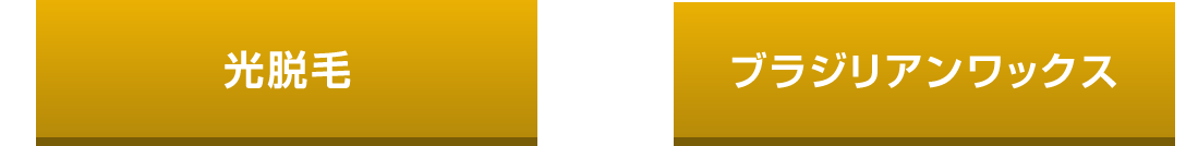 光脱毛/ブラジリアンワックス